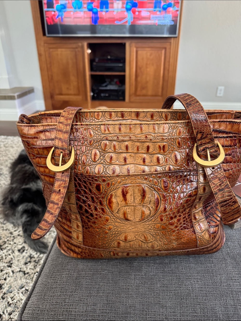Women's Croc-Embossed Leather Tote in Tan/Brown